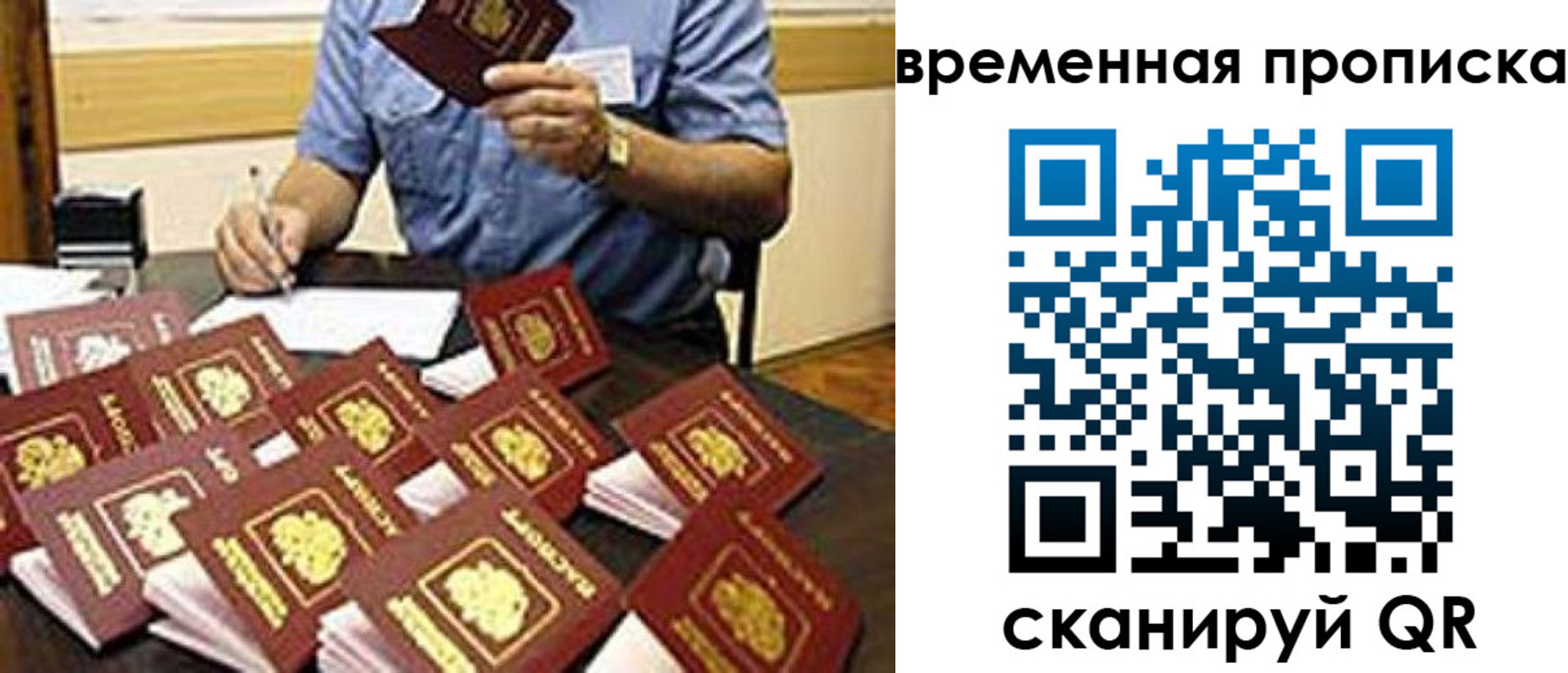 прописка для школы в Александрове